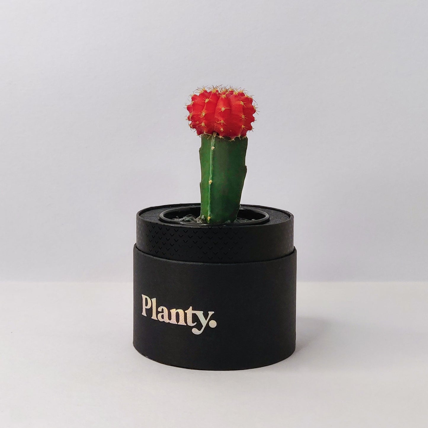 Gloss Mini - Think Planty