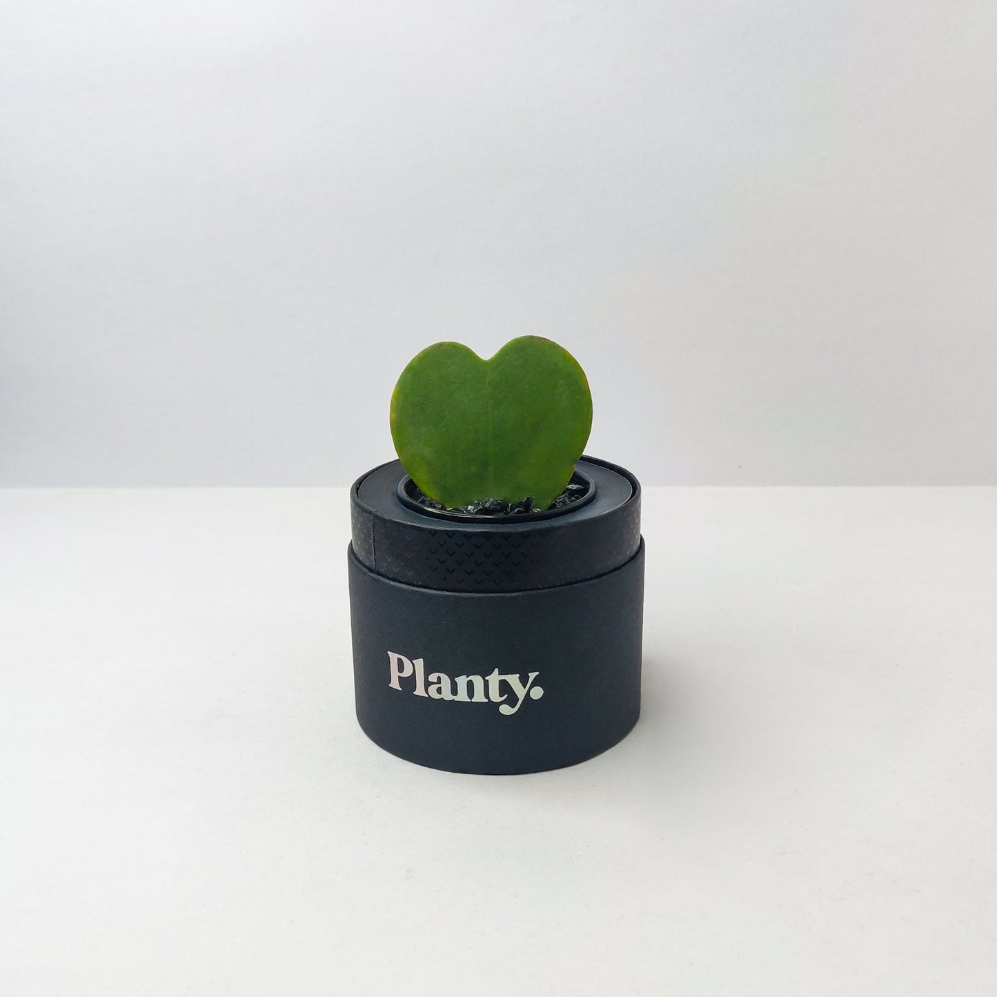 Love Mini - Think Planty