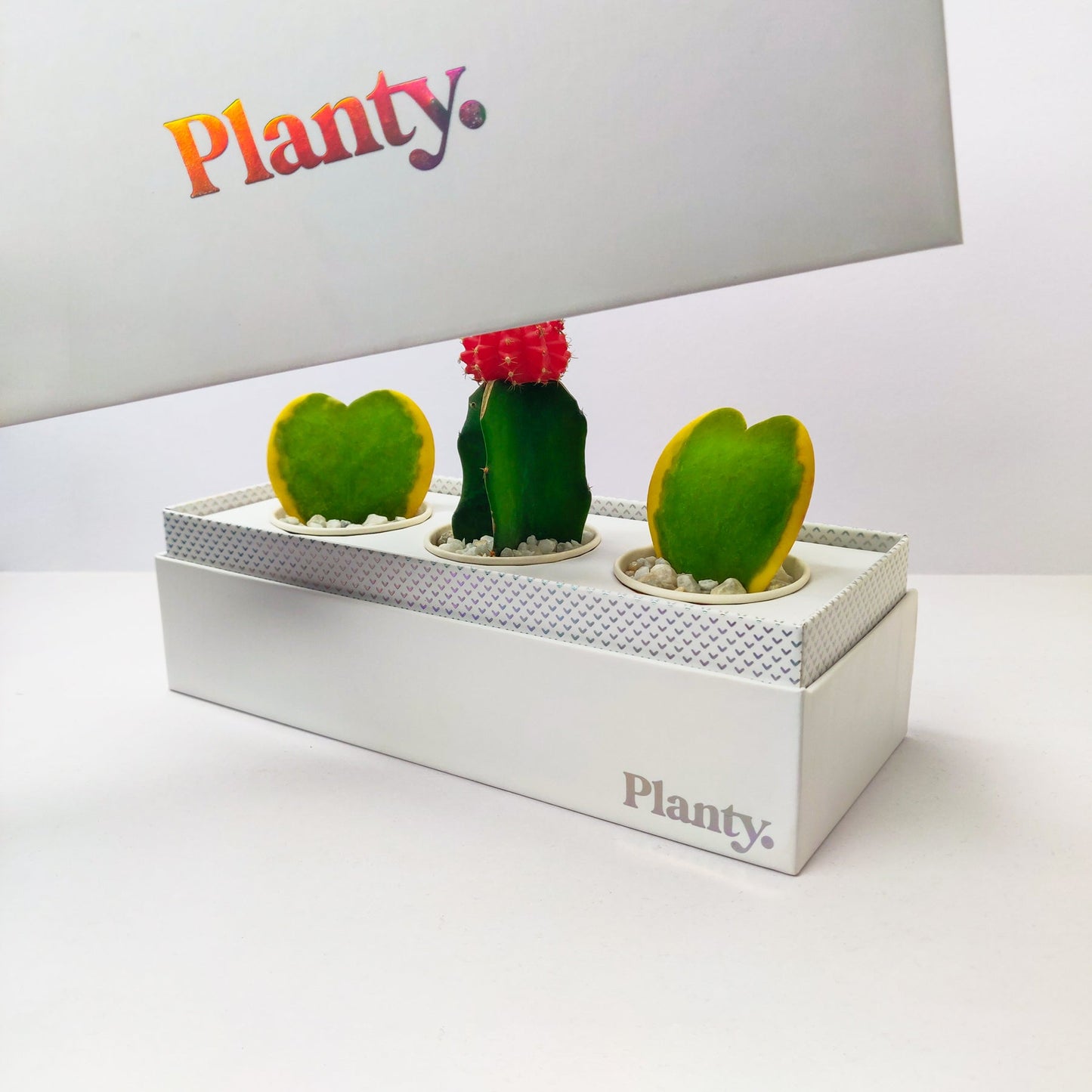 Love Mix - Think Planty