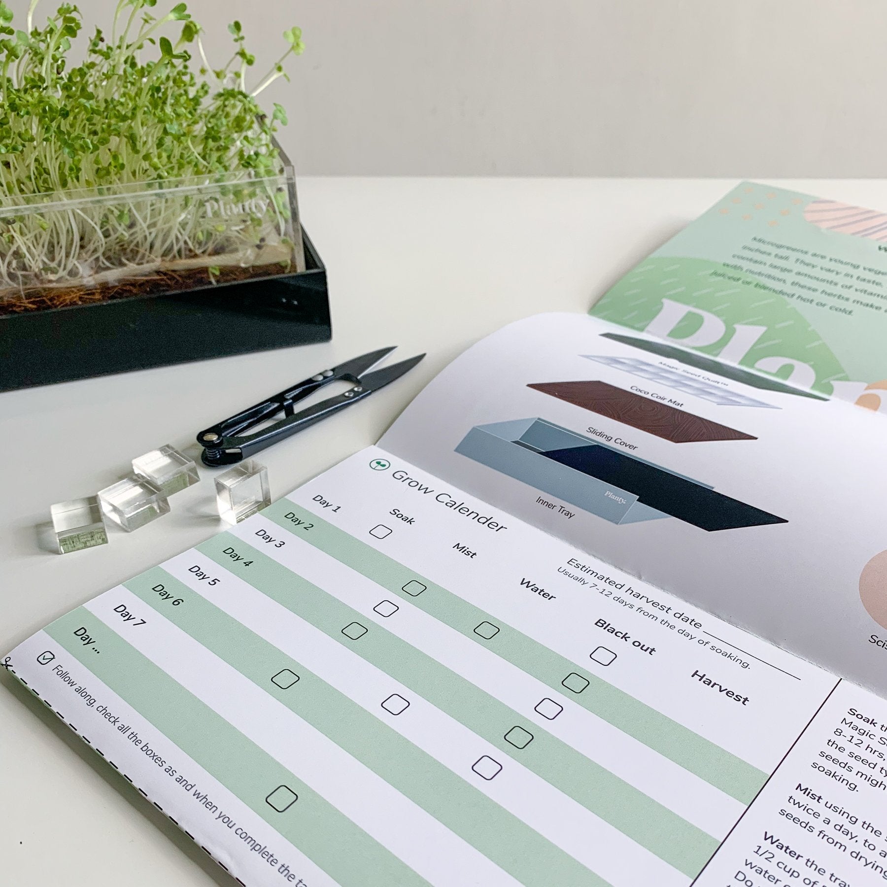 Radish & Fenugreek Microgreens Kit - Think Planty