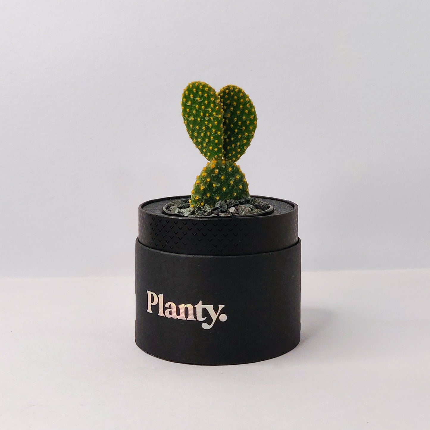 Spike Mini - Think Planty