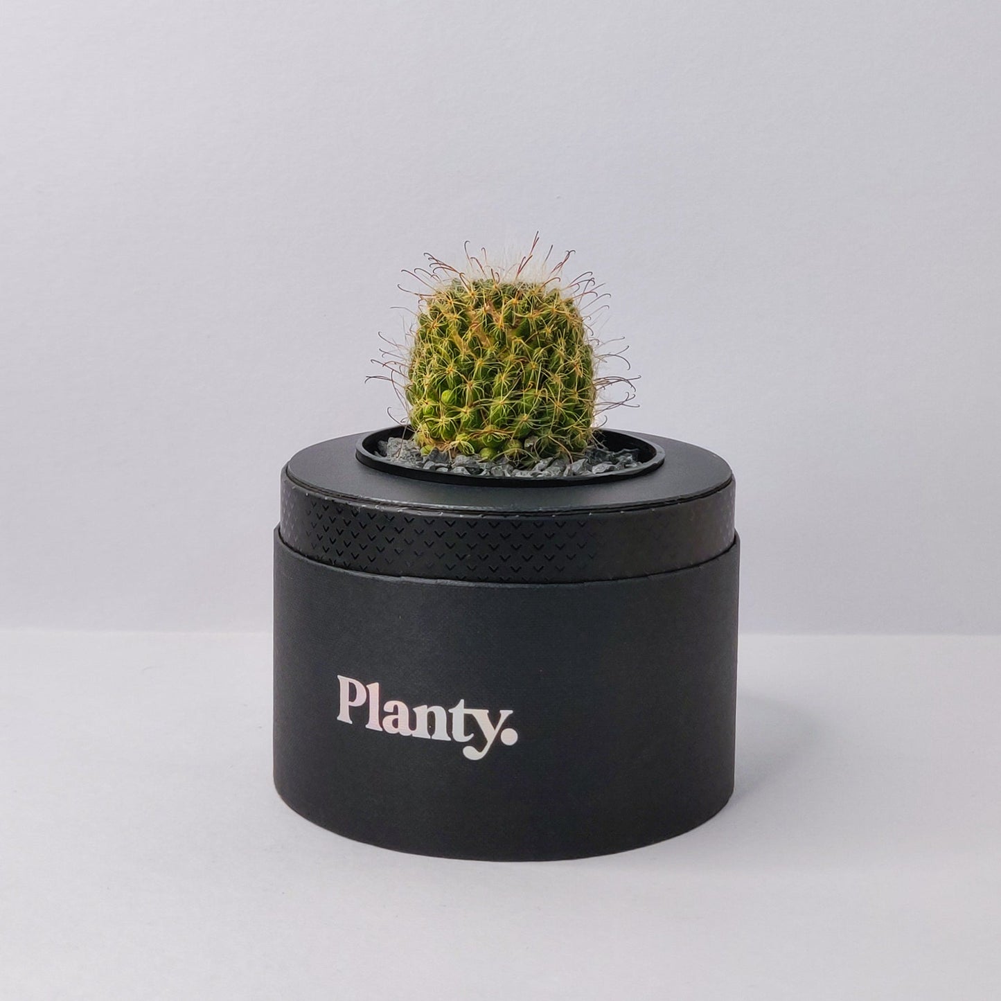 Spike Solo - Think Planty